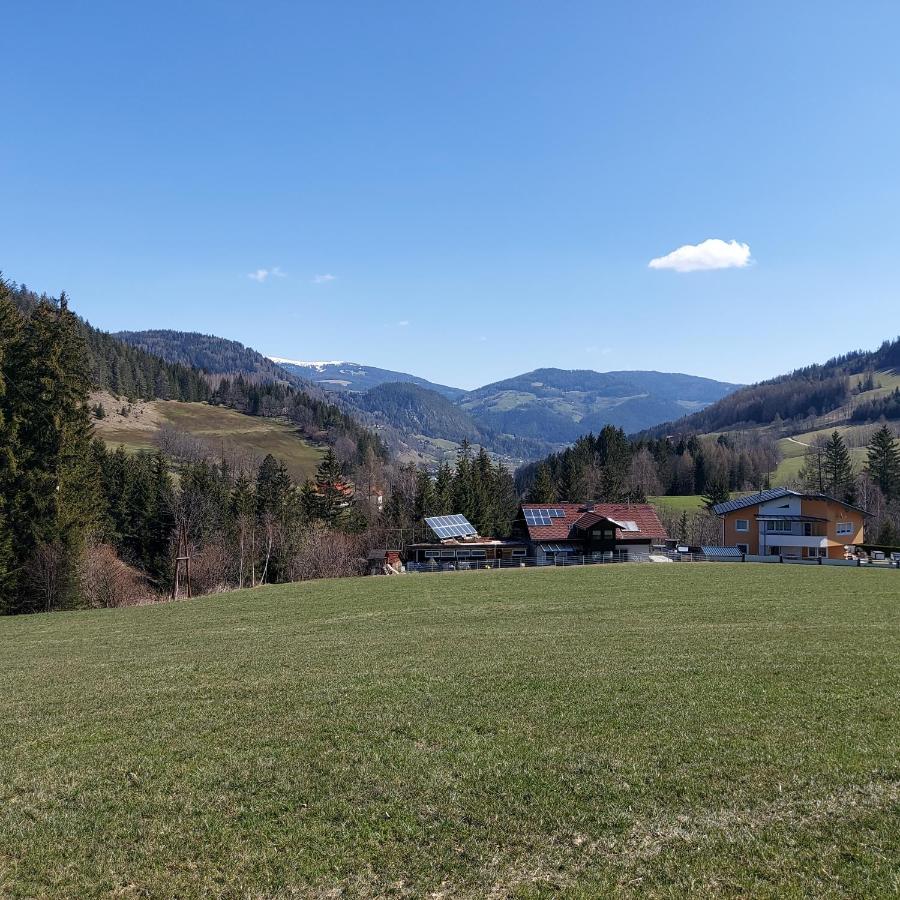 Sankt Peter am KammersbergGreimblick公寓 外观 照片